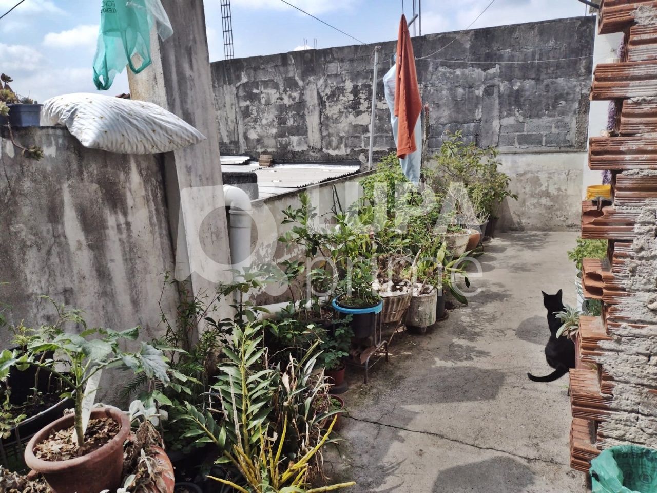 casa-terrea-venda-sao-paulo-vila-maria-alta-3dormitorios-60m2-LM2105