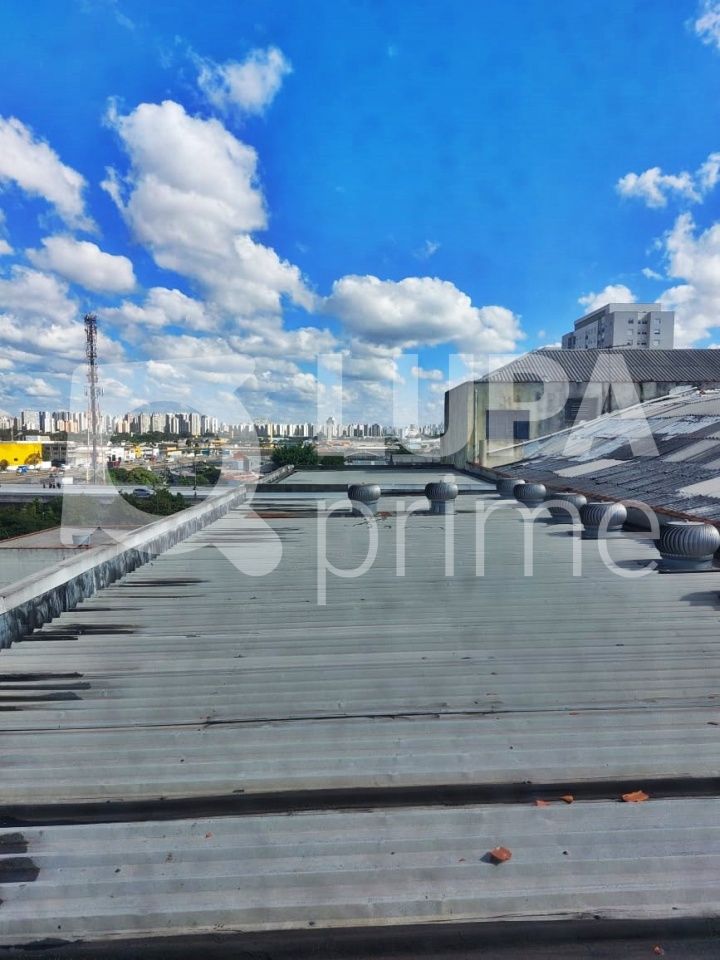 galpao-locacao-sao-paulo-vila-maria-2vagas-539m2-LM21093