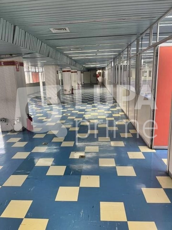 Prédio Inteiro, 4703 m² - Foto 5