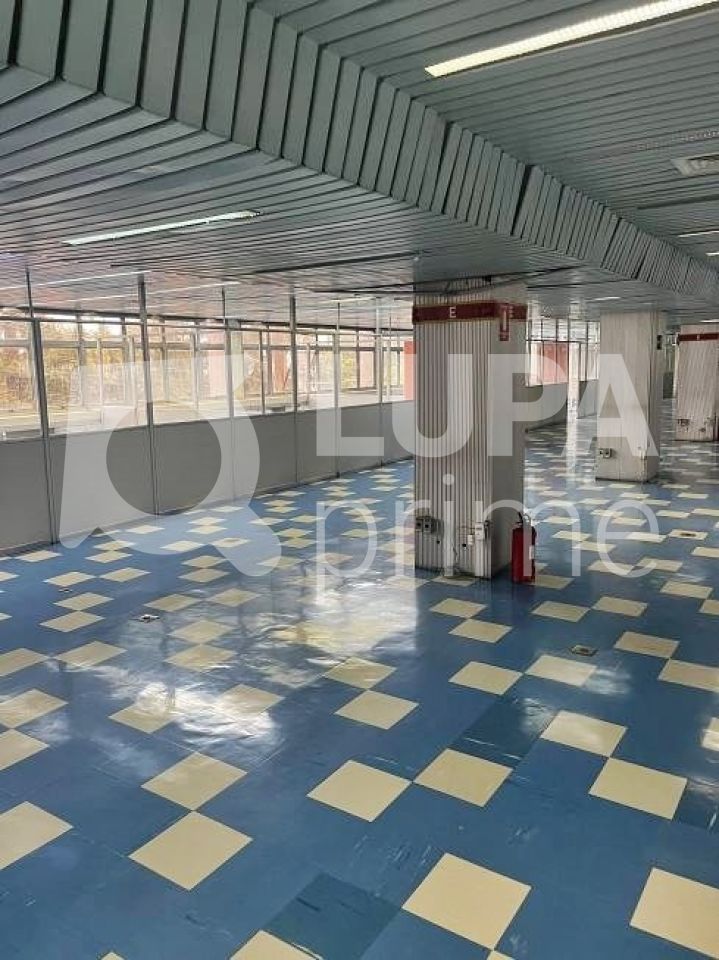 Prédio Inteiro, 4703 m² - Foto 6
