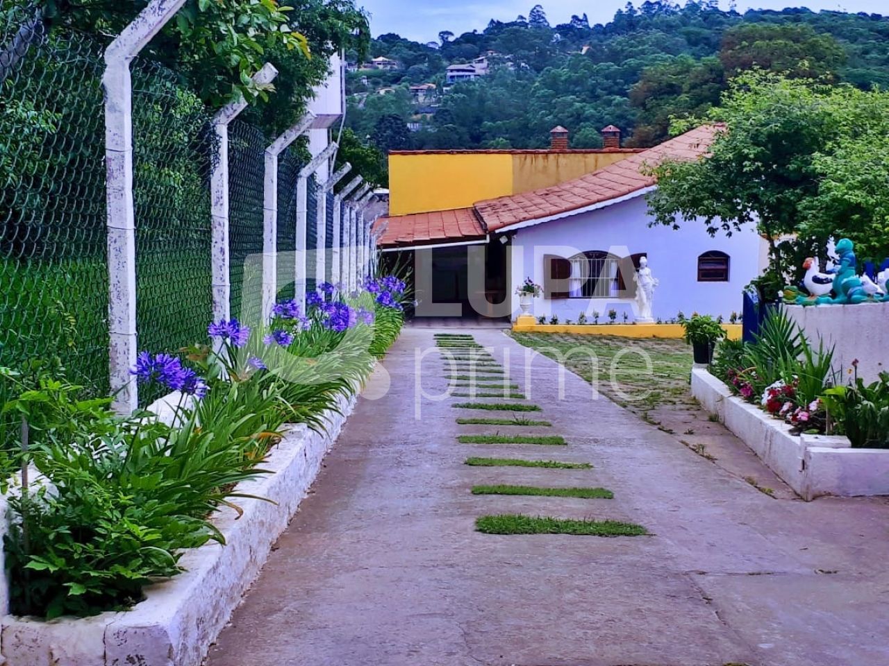 Sítio, 4 quartos, 1085 m² - Foto 5