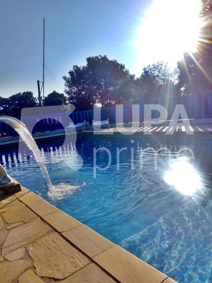 Sítio, 4 quartos, 1085 m² - Foto 10