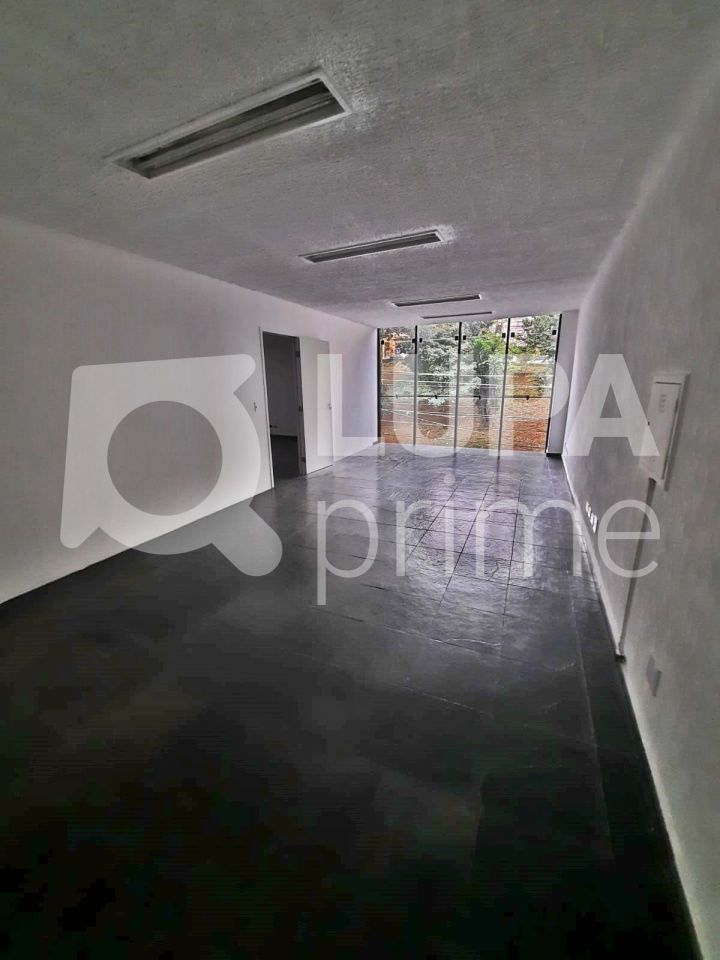 Sala-Conjunto, 320 m² - Foto 7