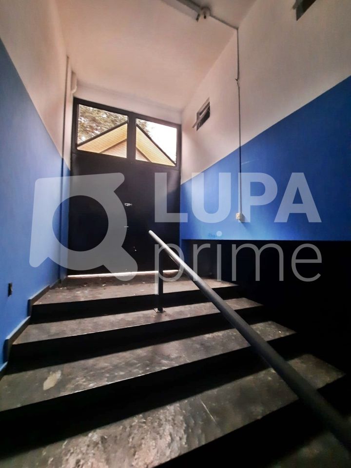 Sala-Conjunto, 320 m² - Foto 2