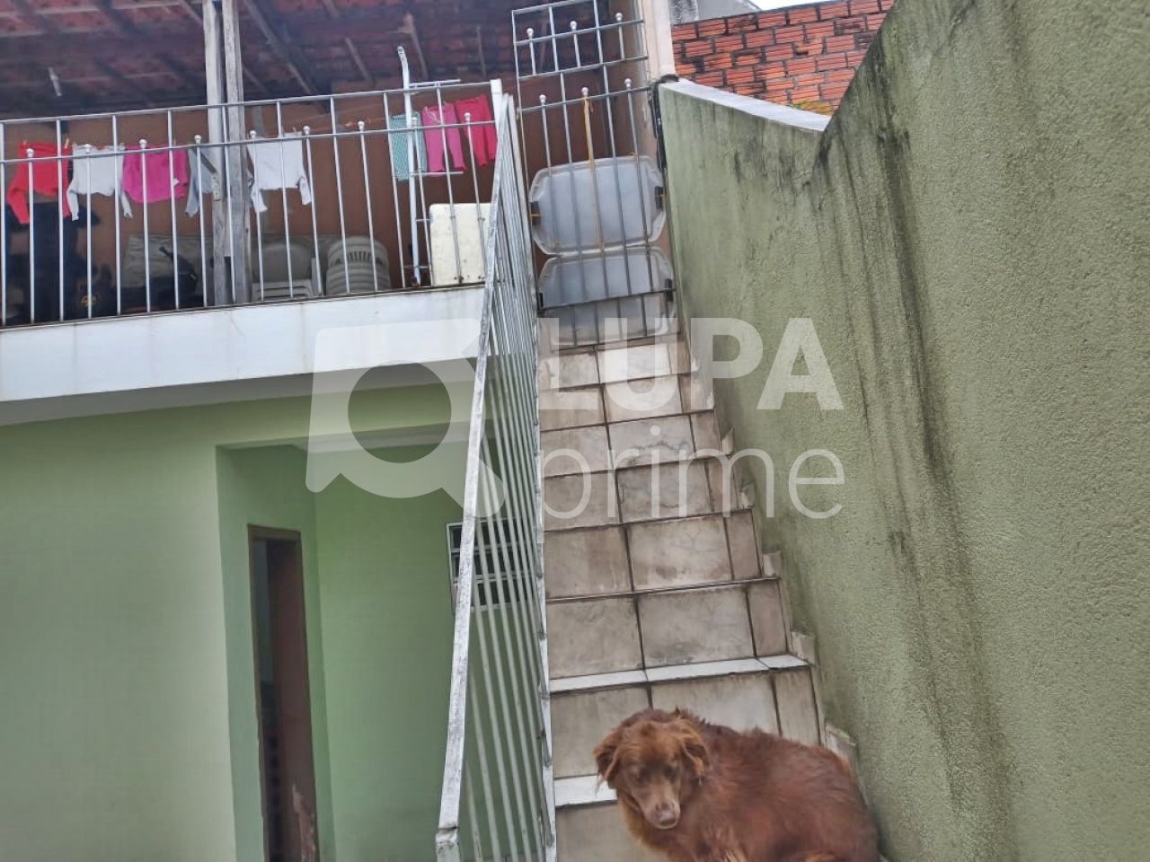 sobrado-venda-sao-paulo-vila-maria-3dormitorios-1suite-3vagas-223m2-LM21473