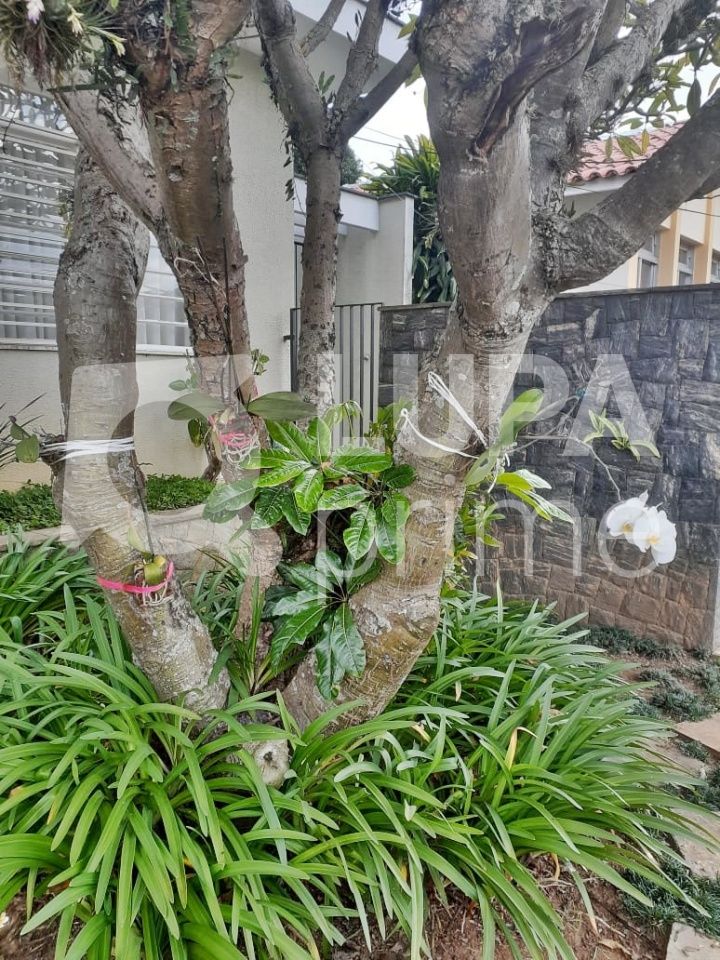 Casa à venda com 4 quartos, 268m² - Foto 17