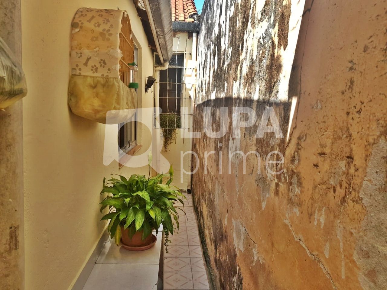 Casa, 3 quartos, 100 m² - Foto 12