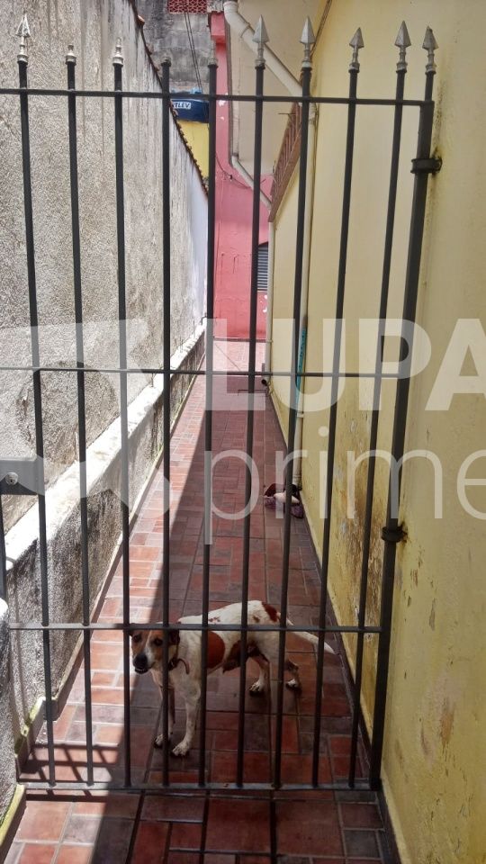 casa-terrea-venda-sao-paulo-vila-medeiros-4dormitorios-2vagas-160m2-LM22170