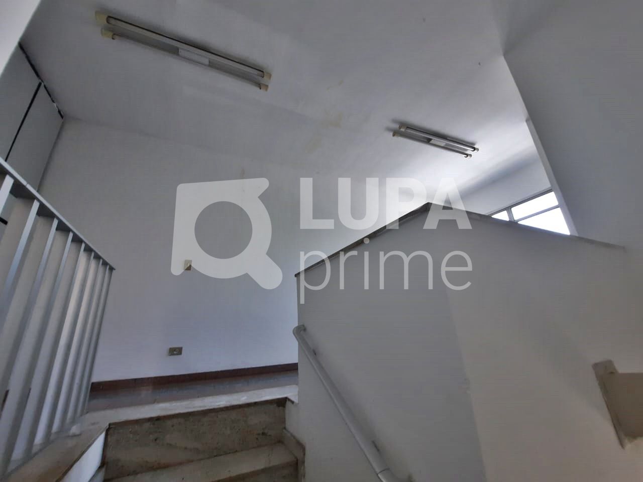 sala-comercial-locacao-sao-paulo-vila-maria-baixa-75m2-LM22186