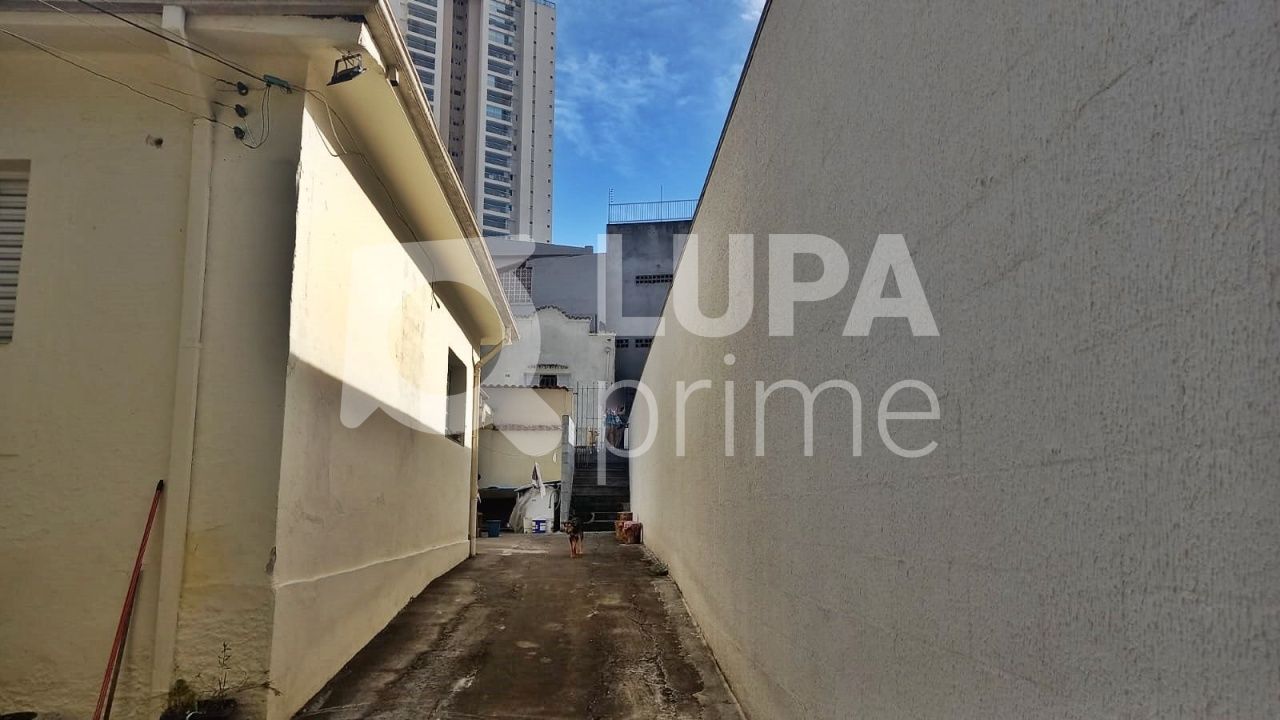 terreno-venda-sao-paulo-vila-maria-alta-141m2-LM22198