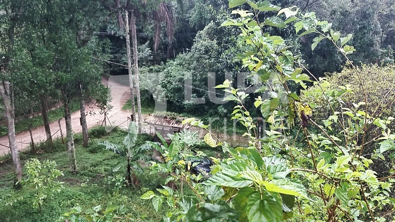 Chácara, 2 quartos, 1245 m² - Foto 10