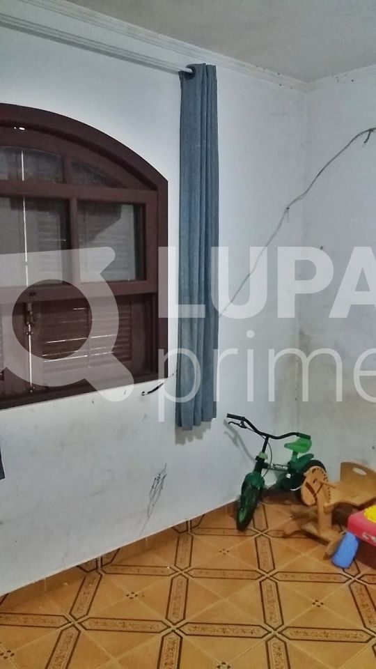 Chácara, 2 quartos, 1245 m² - Foto 5