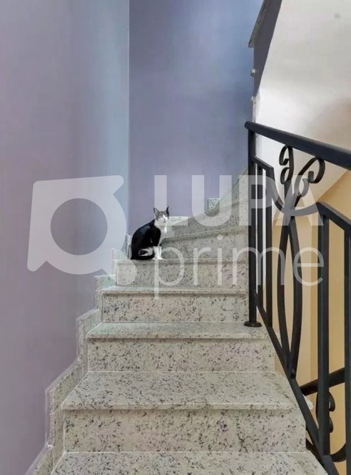 sobrado-venda-sao-paulo-vila-constanca-3dormitorios-3suites-3vagas-108m2-LM22401