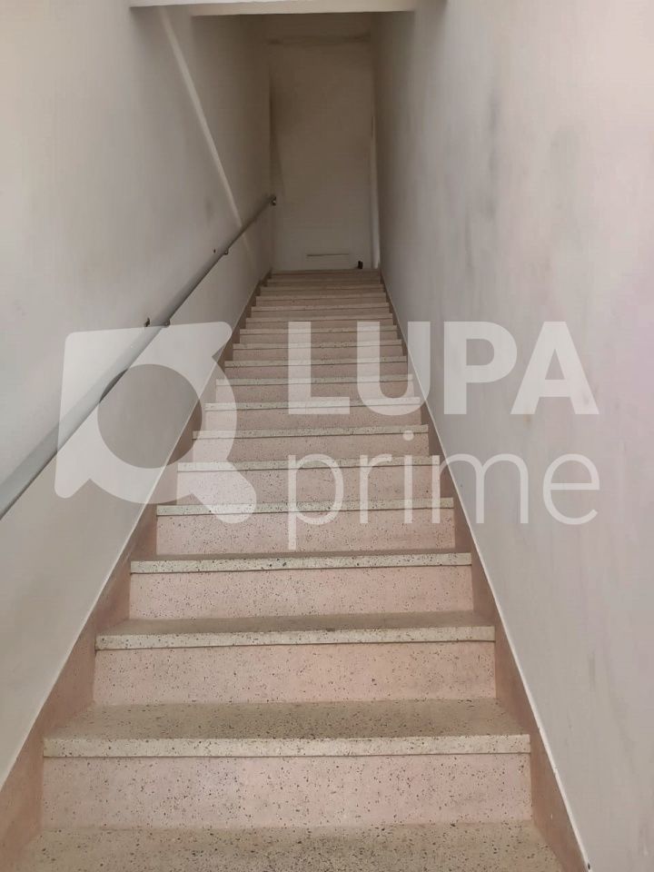 Apartamento à venda com 3 quartos, 117m² - Foto 10