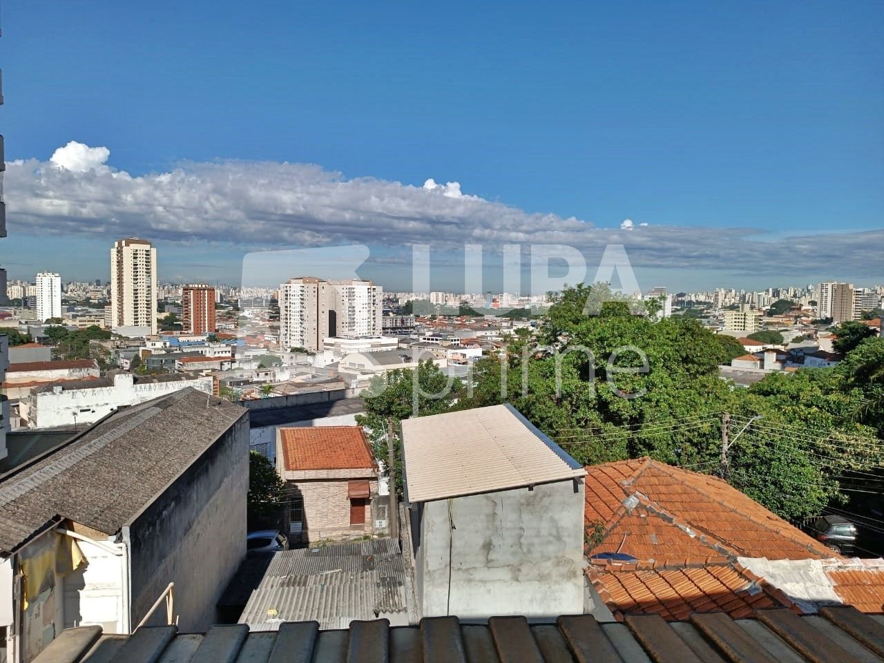 Apartamento à venda com 3 quartos, 117m² - Foto 11