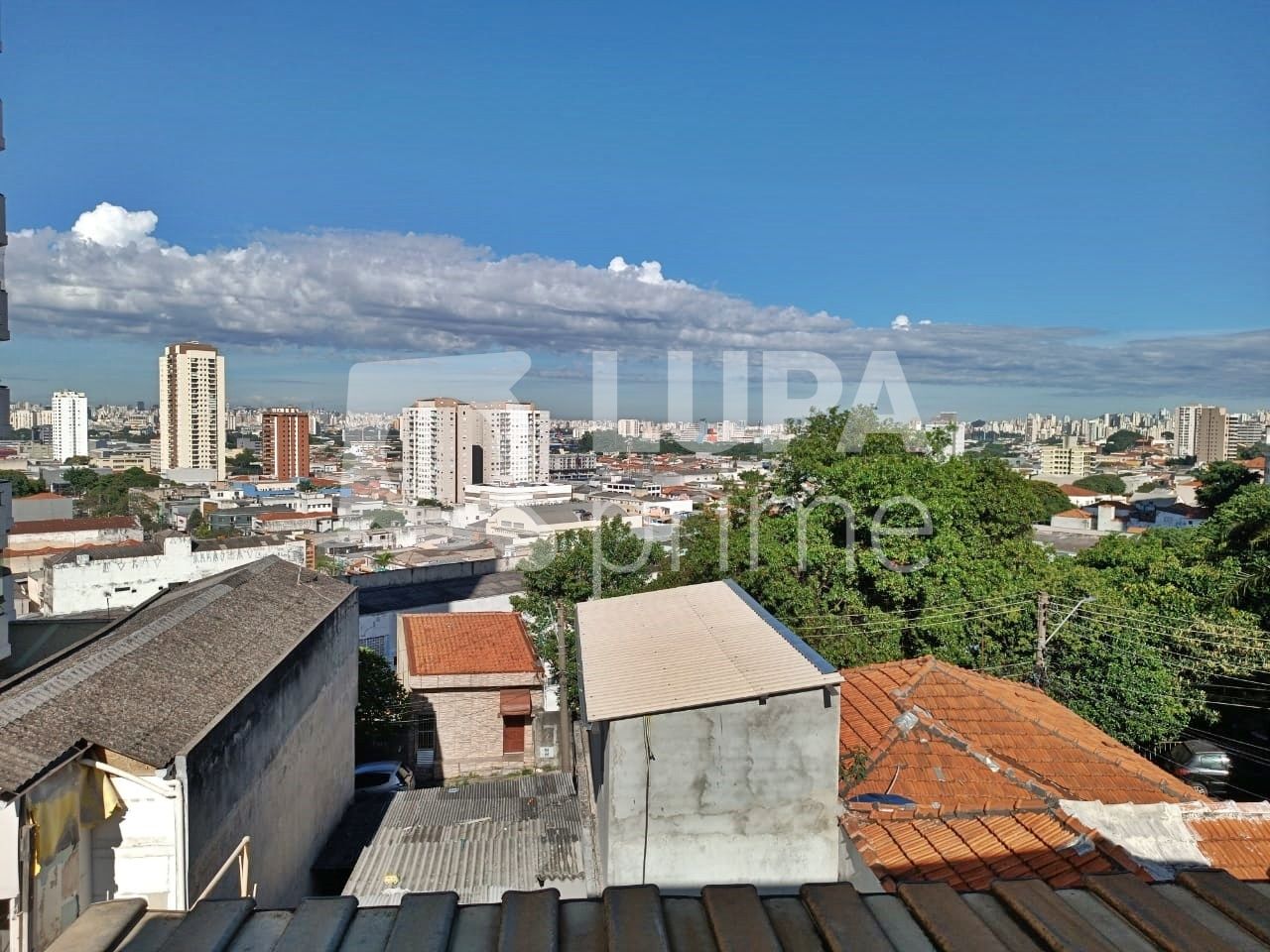 apartamento-venda-sao-paulo-vila-maria-alta-3dormitorios-117m2-LM22422