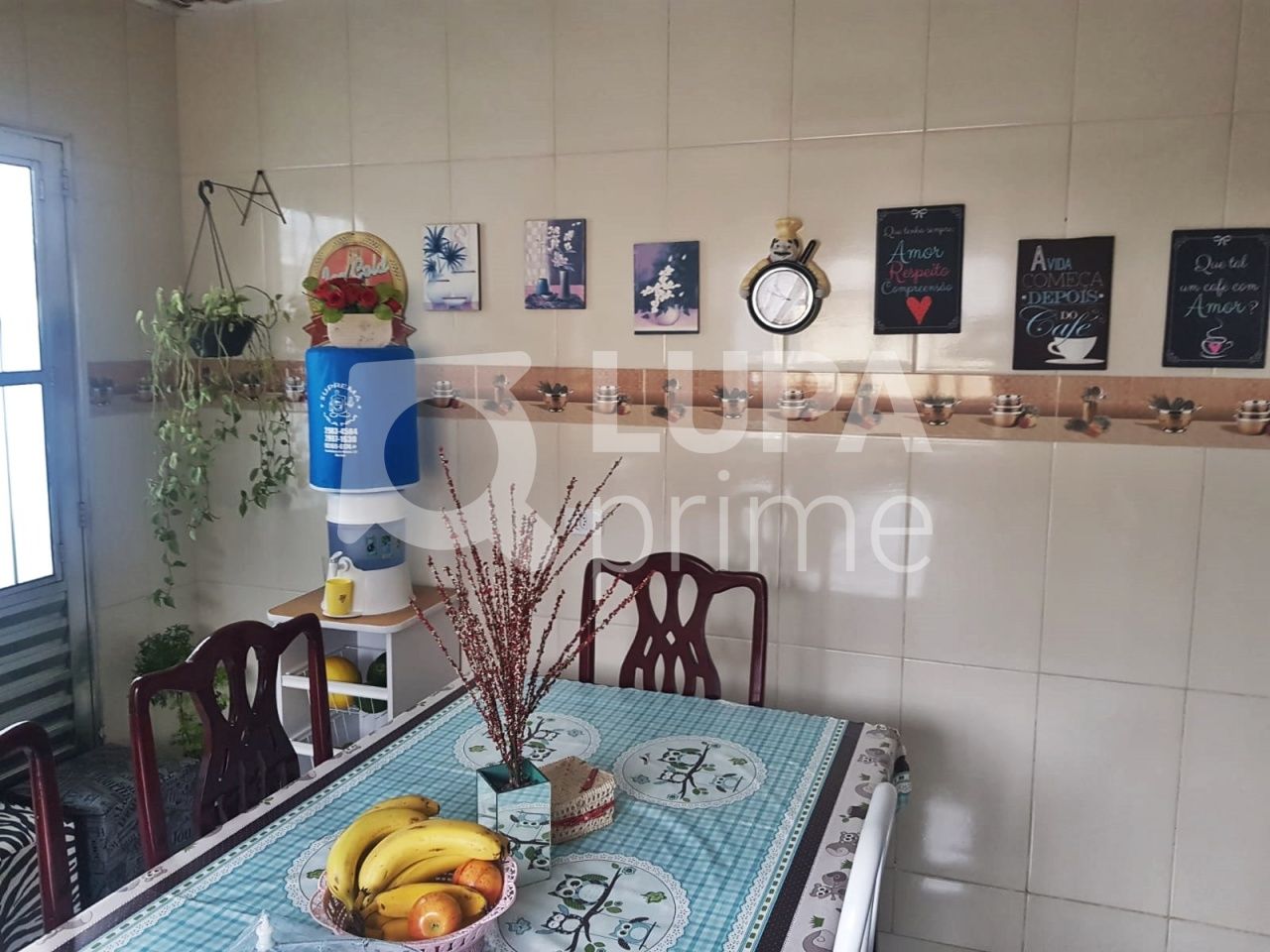 sobrado-venda-sao-paulo-vila-gustavo-5dormitorios-2vagas-70m2-LM22469