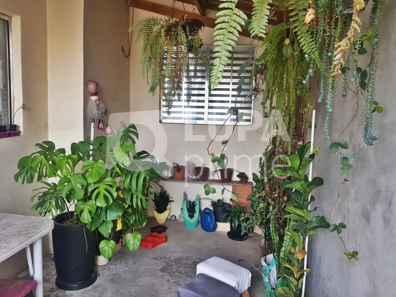 sobrado-venda-sao-paulo-vila-gustavo-5dormitorios-2vagas-70m2-LM22469