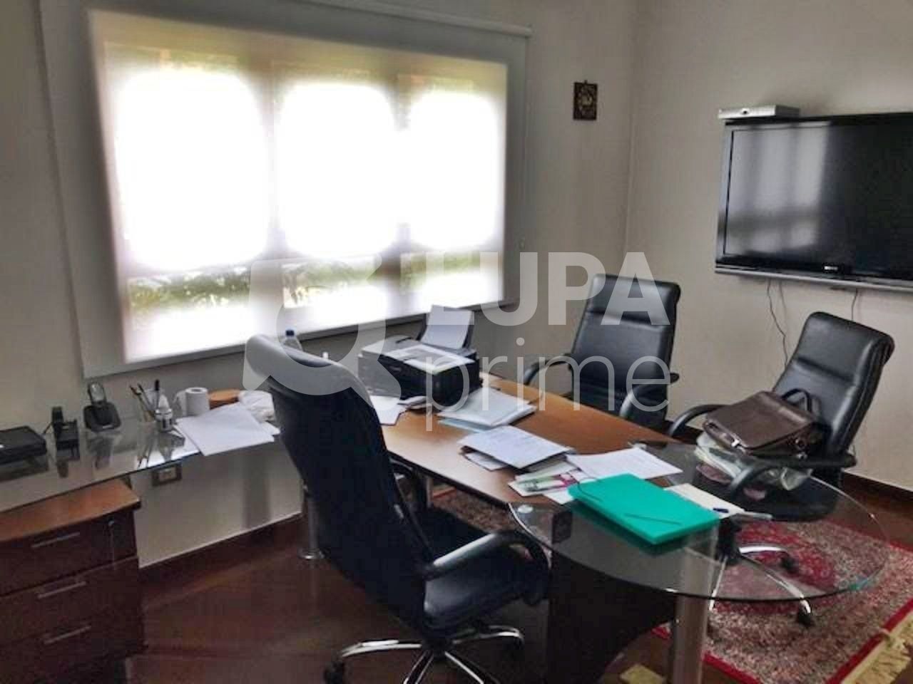 Casa, 4 quartos, 927 m² - Foto 12