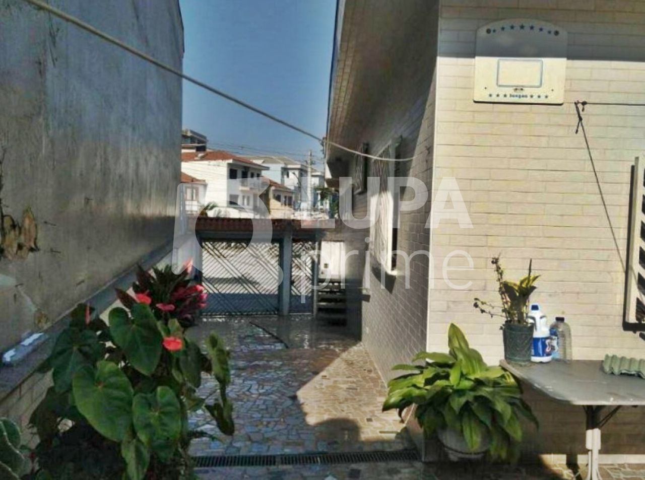 casa-terrea-venda-sao-paulo-vila-maria-alta-5dormitorios-6vagas-241m2-LM22782