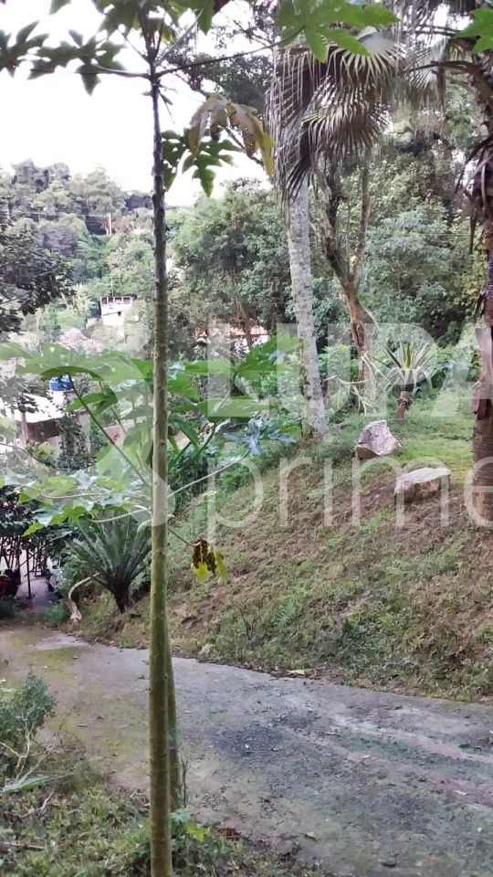 Terreno, 2438 m² - Foto 5