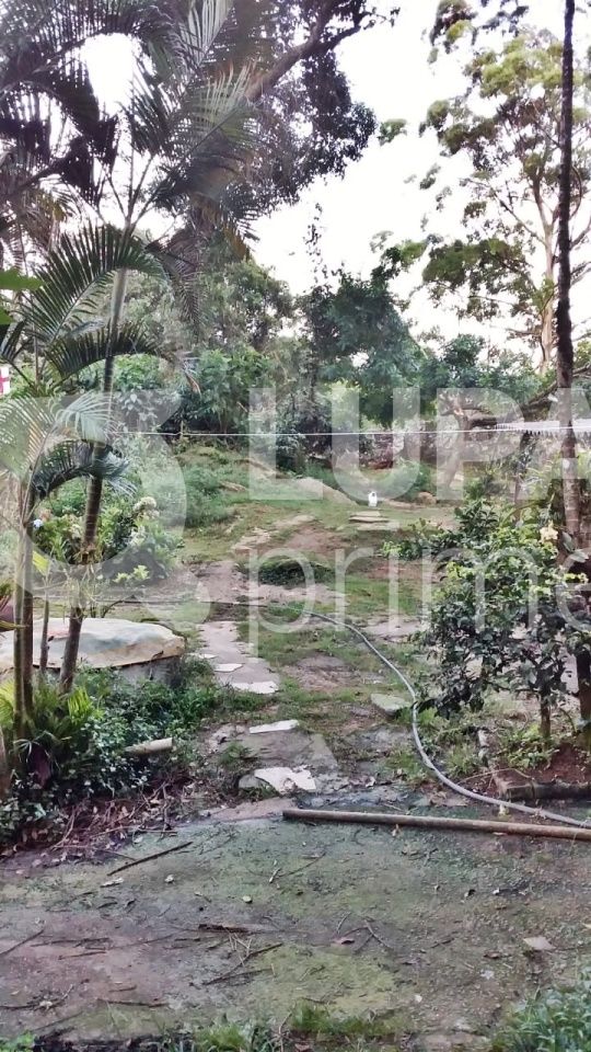 Terreno, 2438 m² - Foto 3