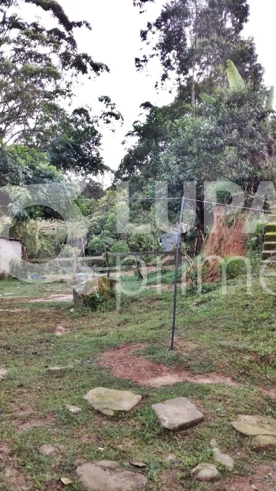 Terreno, 2438 m² - Foto 4