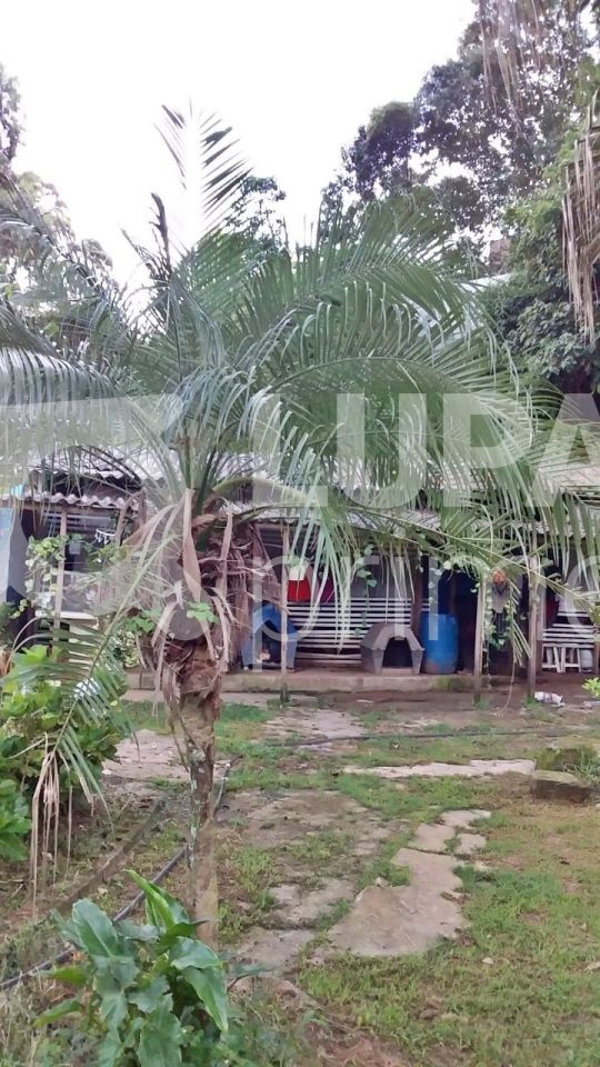 Terreno, 2438 m² - Foto 2