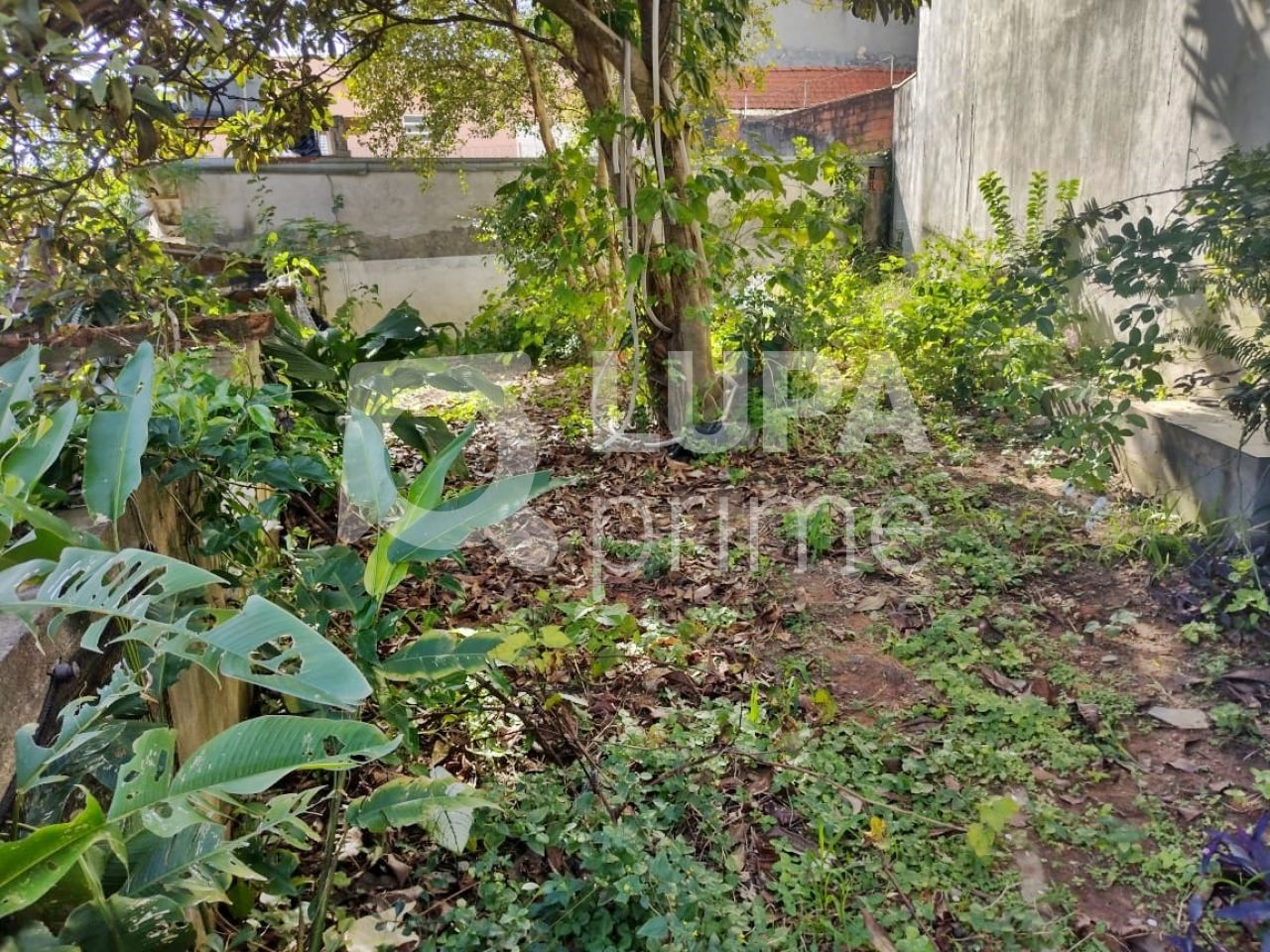 casa-terrea-venda-sao-paulo-parque-novo-mundo-1dormitorio-2vagas-58m2-LM22806