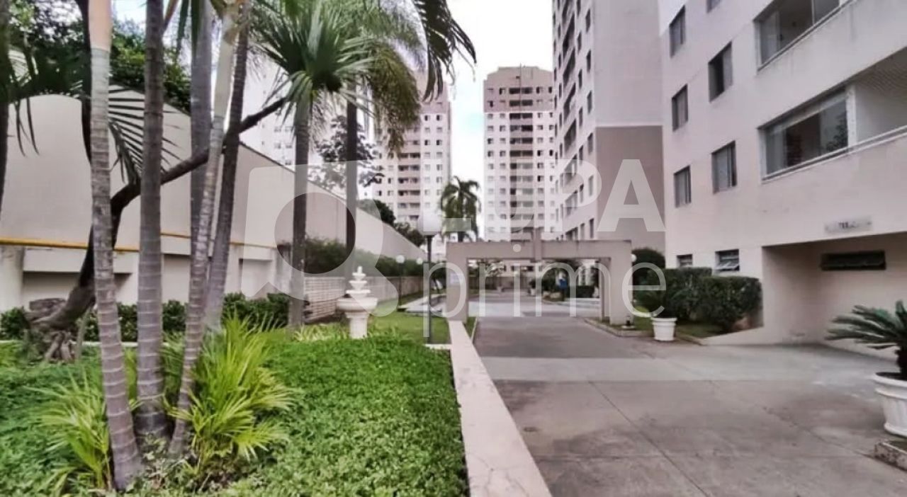 Apartamento à venda com 2 quartos, 50m² - Foto 12