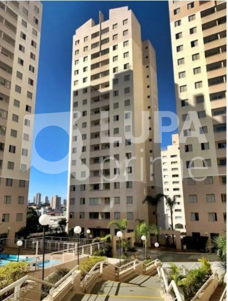Apartamento à venda com 2 quartos, 50m² - Foto 18