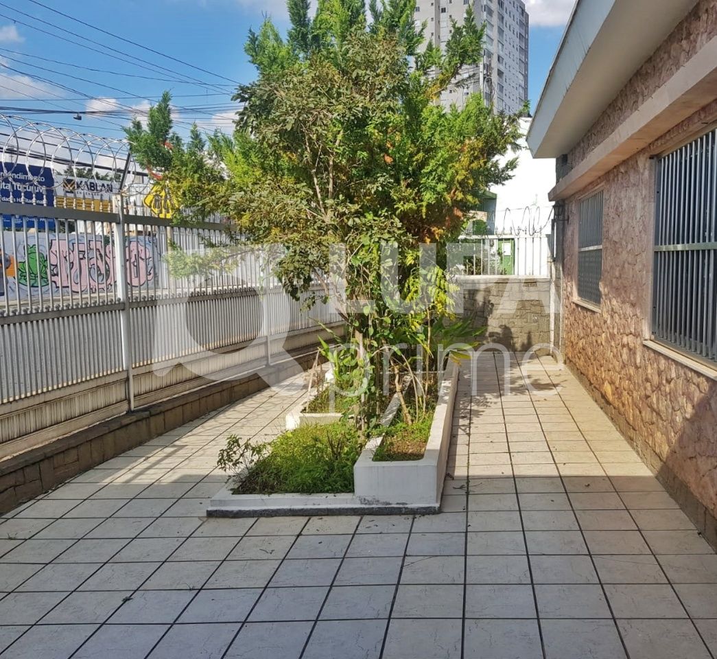 casa-terrea-venda-sao-paulo-vila-constanca-3dormitorios-1suite-6vagas-192m2-LM23018