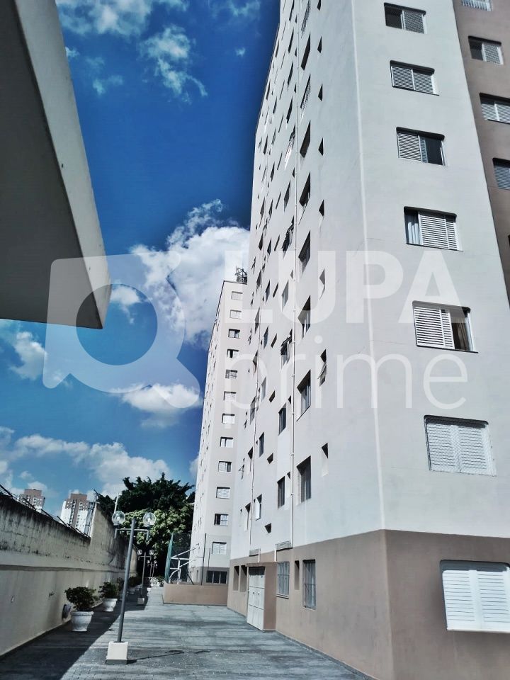 apartamento-venda-sao-paulo-vila-guilherme-2dormitorios-2vagas-68m2-LM23056