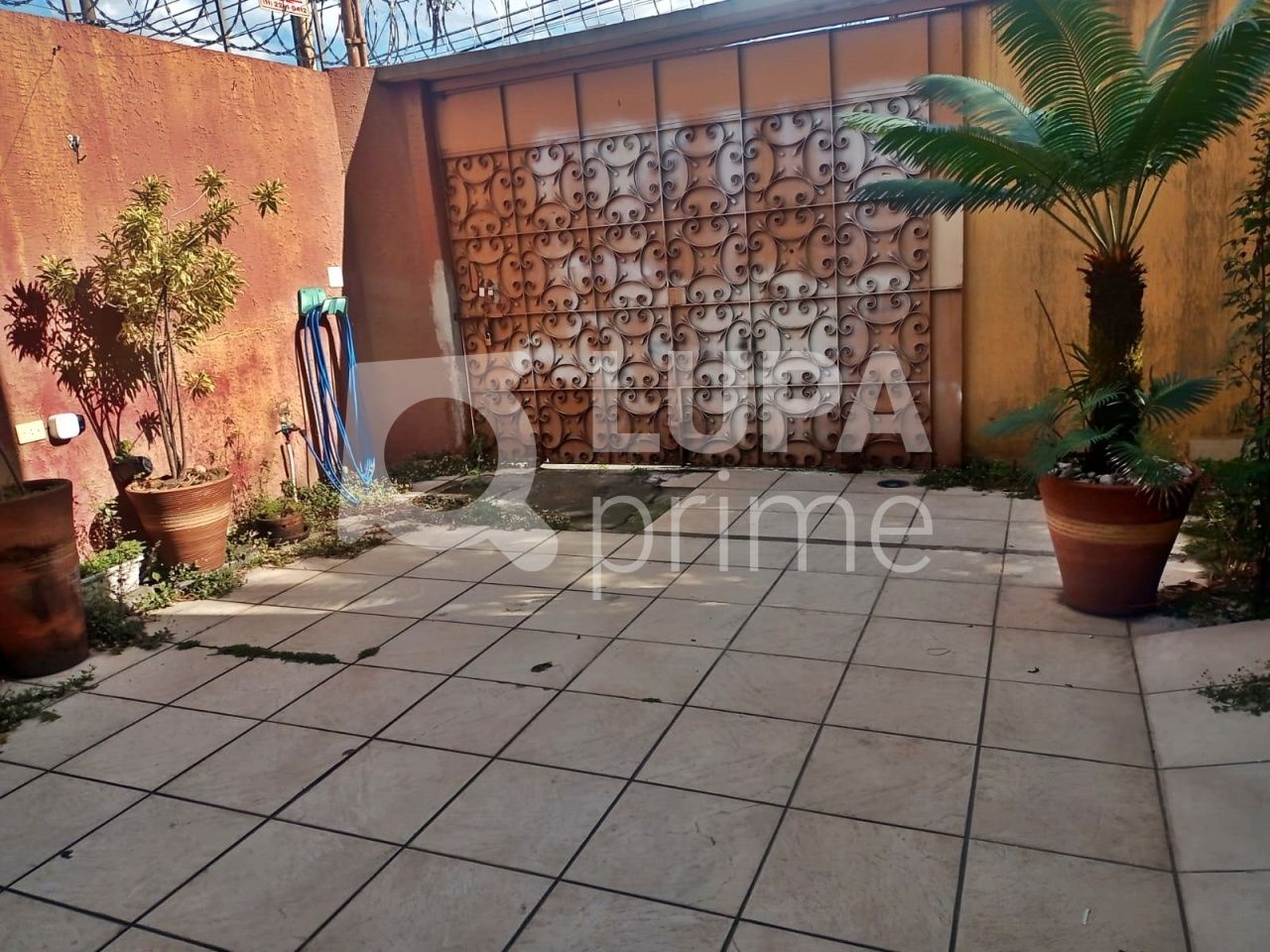 casa-terrea-venda-sao-paulo-vila-gustavo-3dormitorios-1suite-2vagas-184m2-LM23061