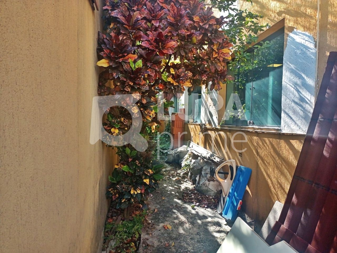 casa-terrea-venda-sao-paulo-vila-gustavo-3dormitorios-1suite-2vagas-184m2-LM23061