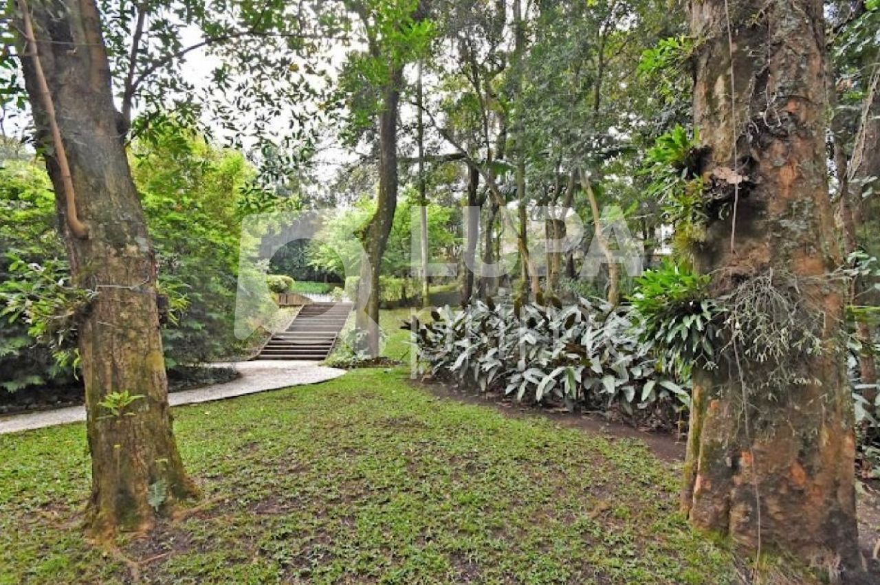 Terreno, 1632 m² - Foto 3