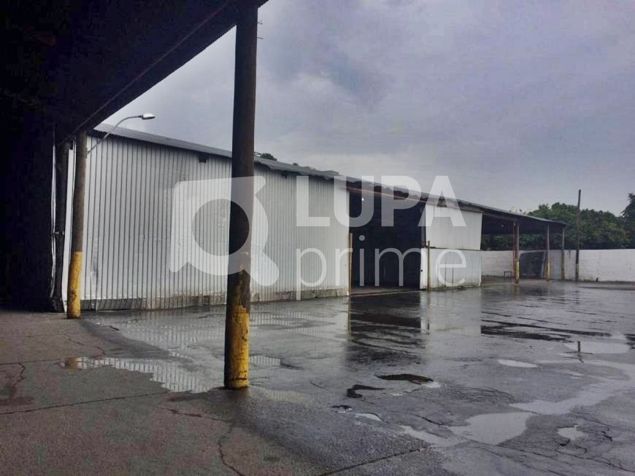 Depósito-Galpão-Armazém à venda, 3300m² - Foto 5