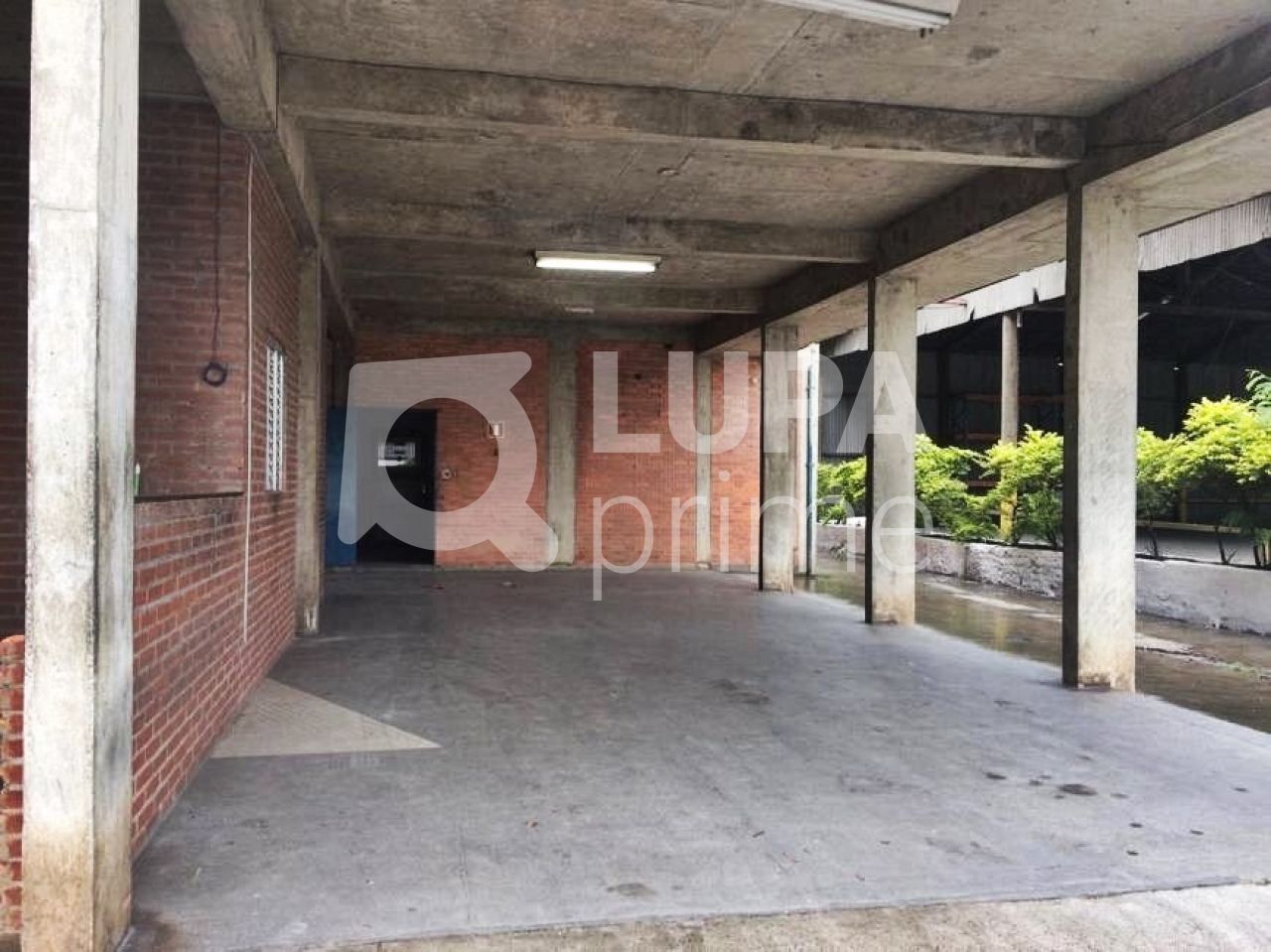 Depósito-Galpão-Armazém à venda, 3300m² - Foto 6