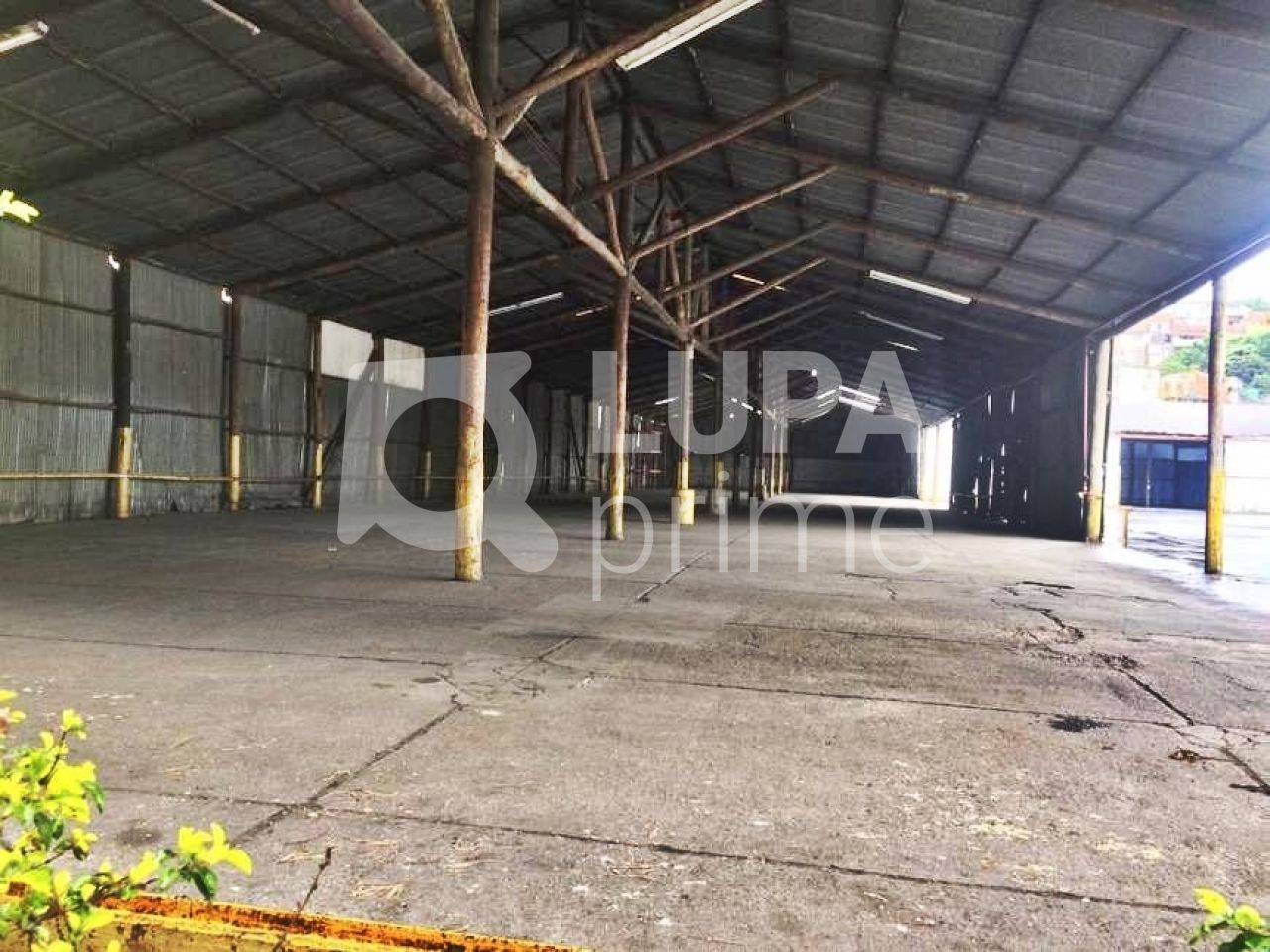 Depósito-Galpão-Armazém à venda, 3300m² - Foto 1
