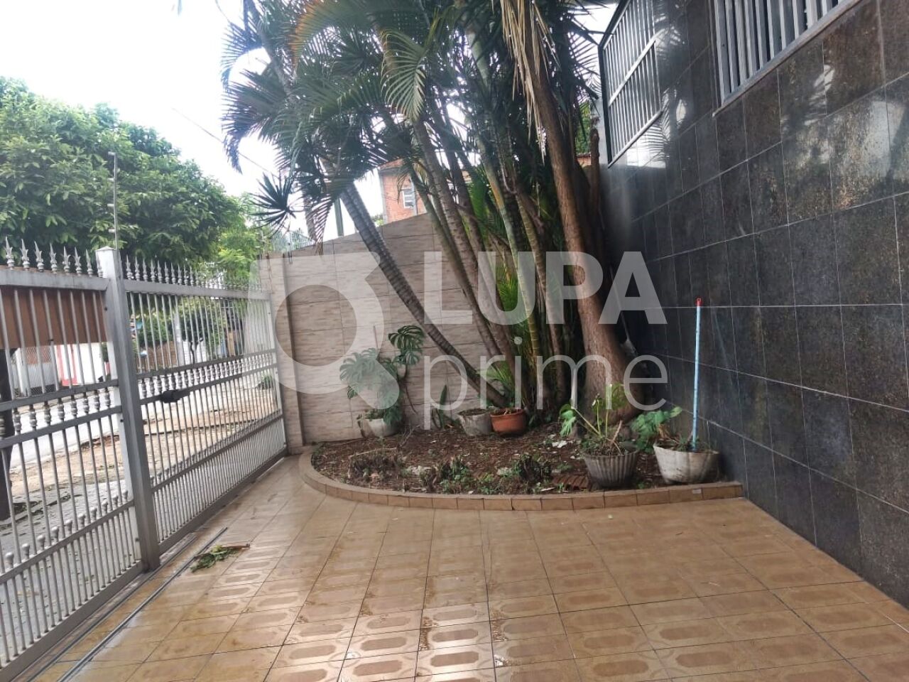 Casa à venda com 4 quartos, 228m² - Foto 15