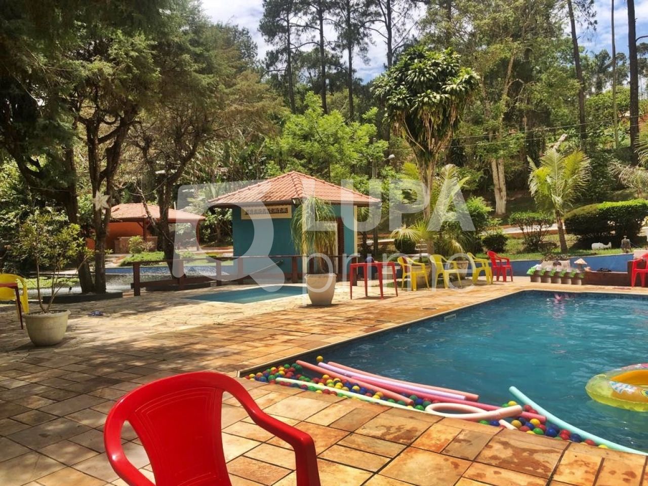 Chácara, 13 quartos, 3 hectares - Foto 4