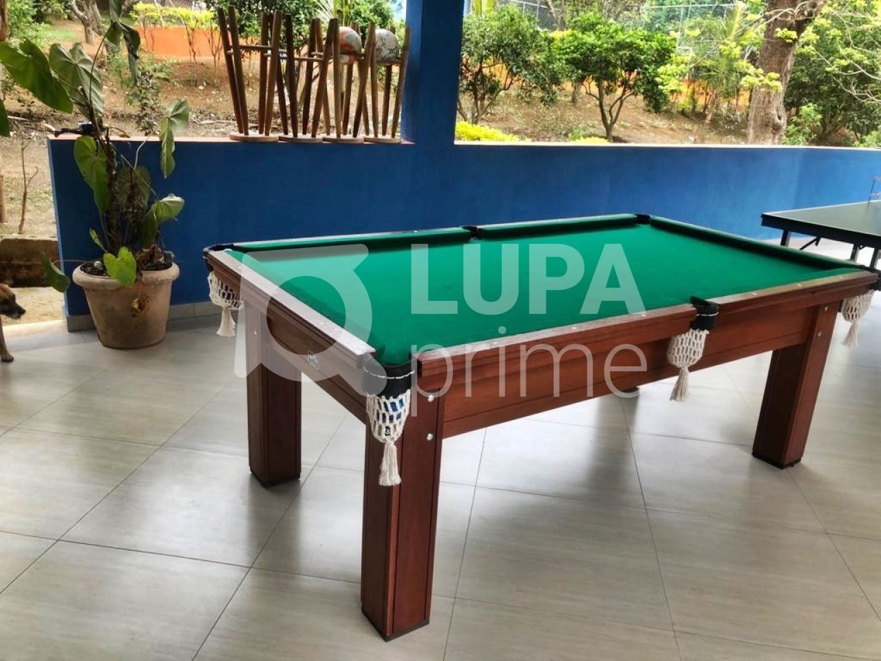 Chácara, 13 quartos, 3 hectares - Foto 8