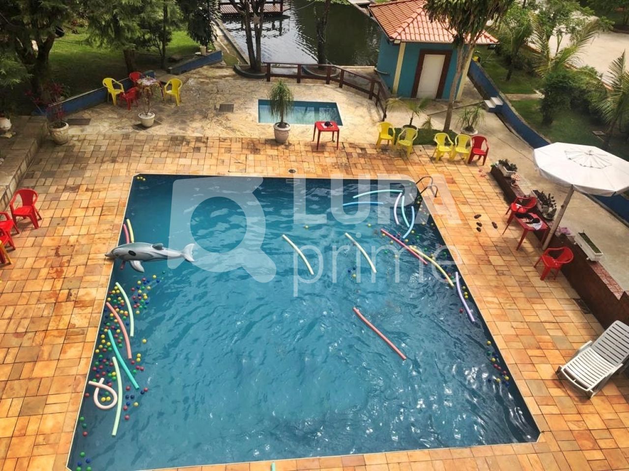 Chácara, 13 quartos, 3 hectares - Foto 5