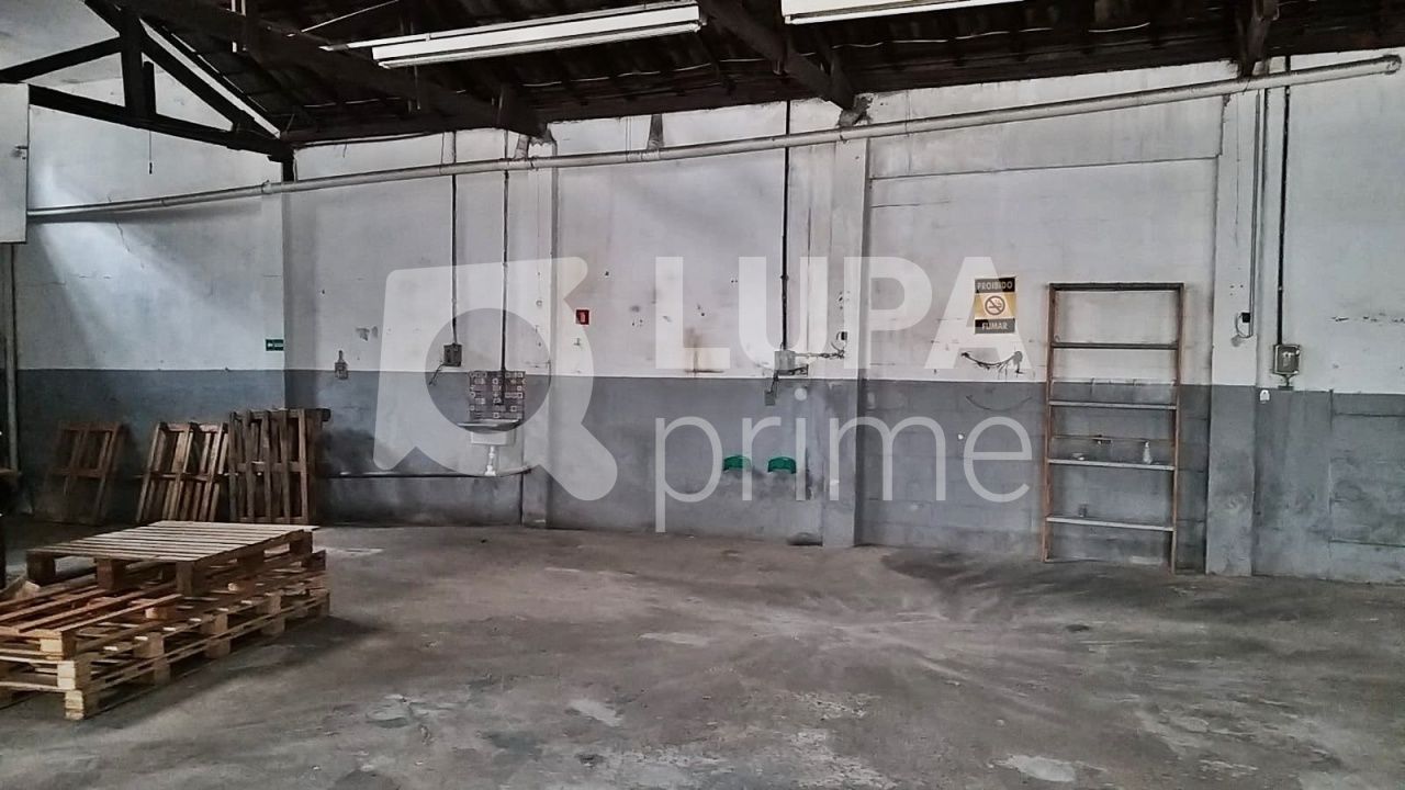 galpao-venda-sao-paulo-vila-guilherme-250m2-LM23500