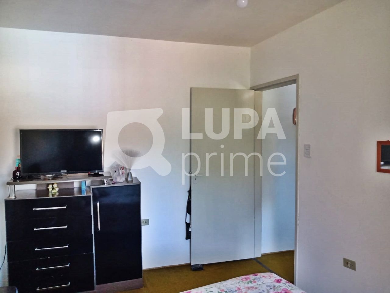 Casa, 8 quartos, 250 m² - Foto 5