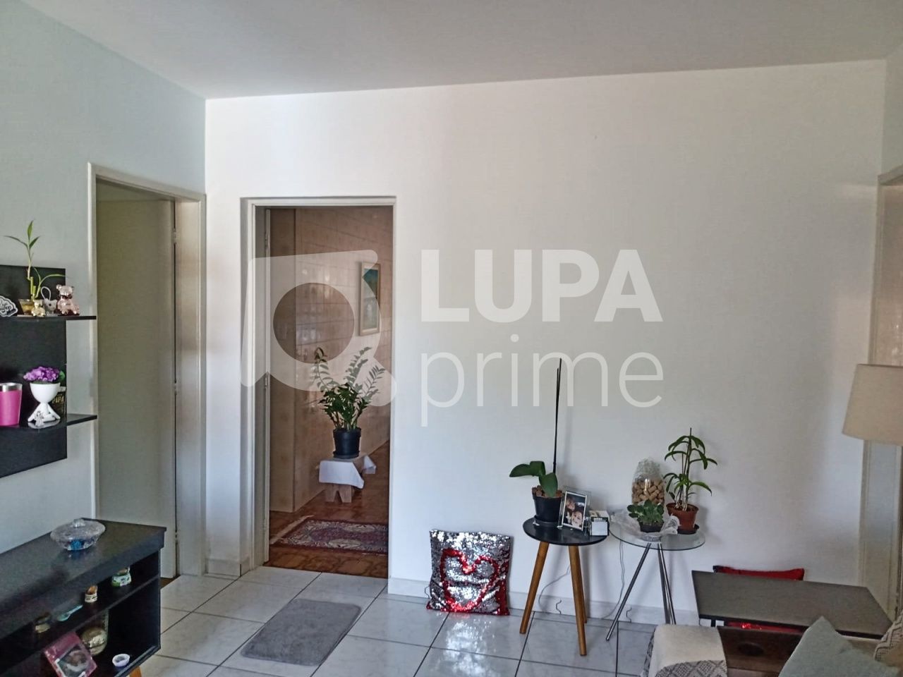 Casa, 8 quartos, 250 m² - Foto 3