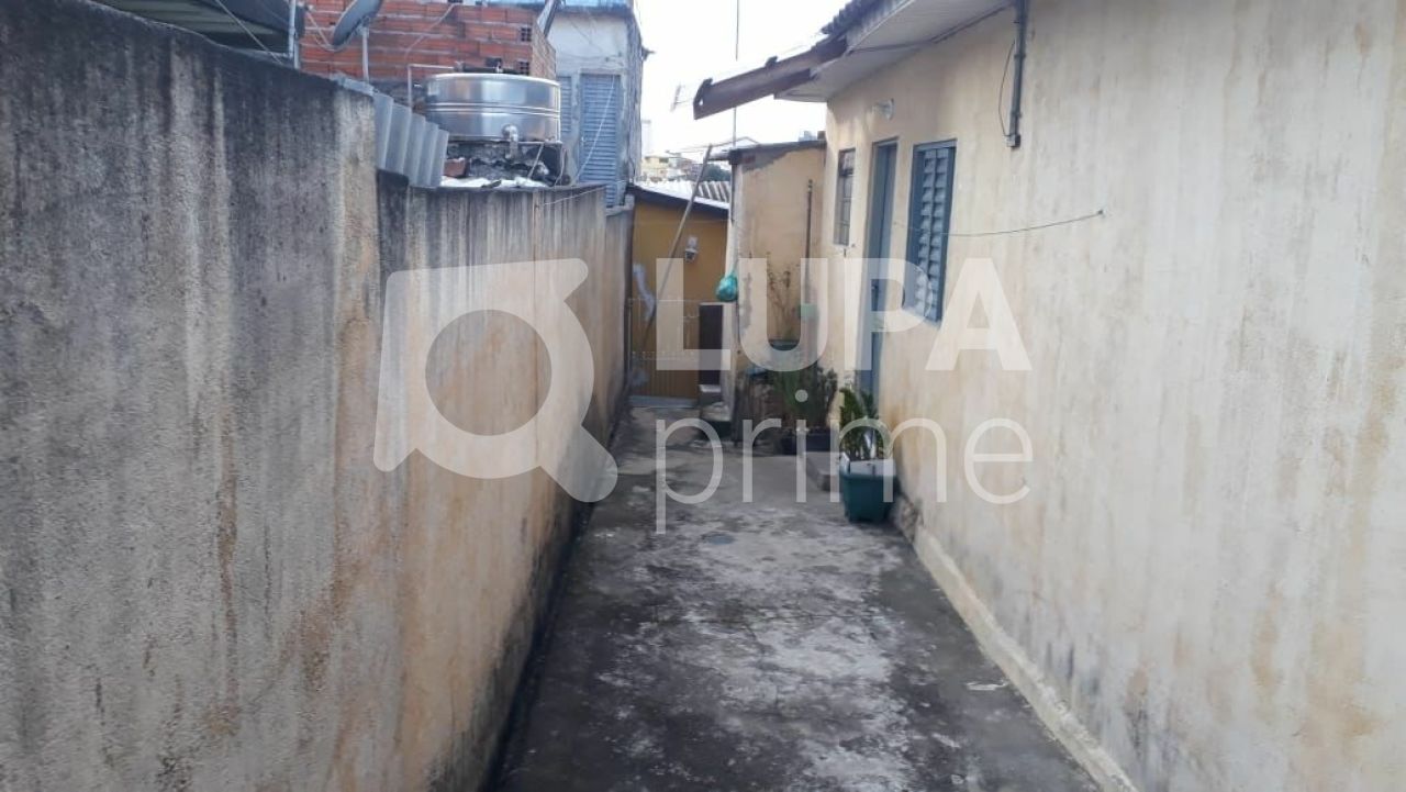 terreno-venda-sao-paulo-parque-vitoria-240m2-LM23636