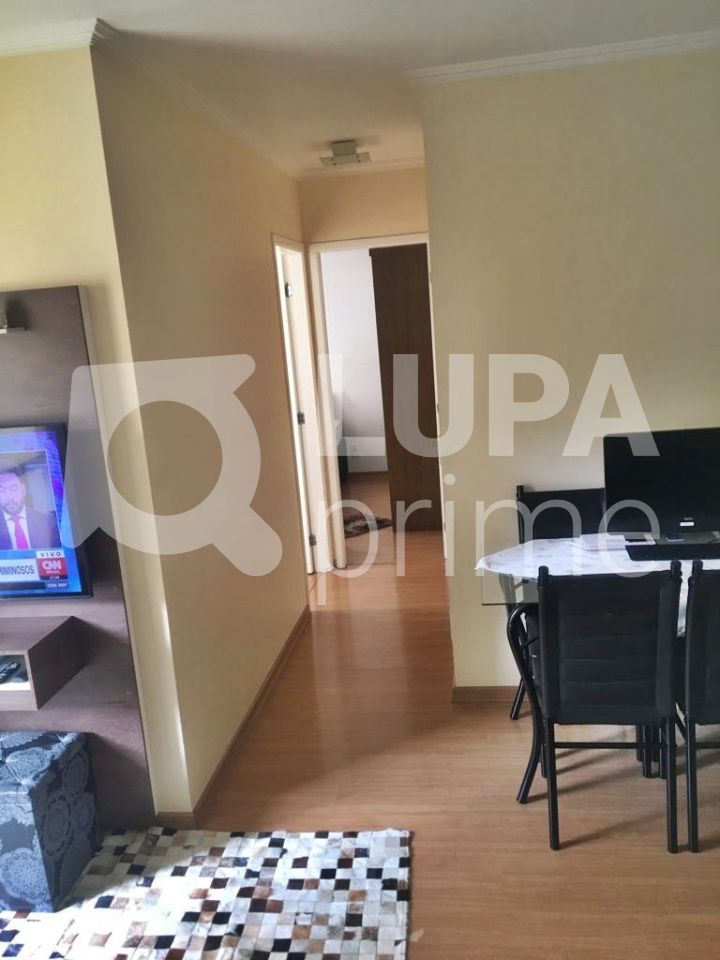 apartamento-venda-sao-paulo-vila-gustavo-2dormitorios-1suite-1vaga-53m2-LM23738