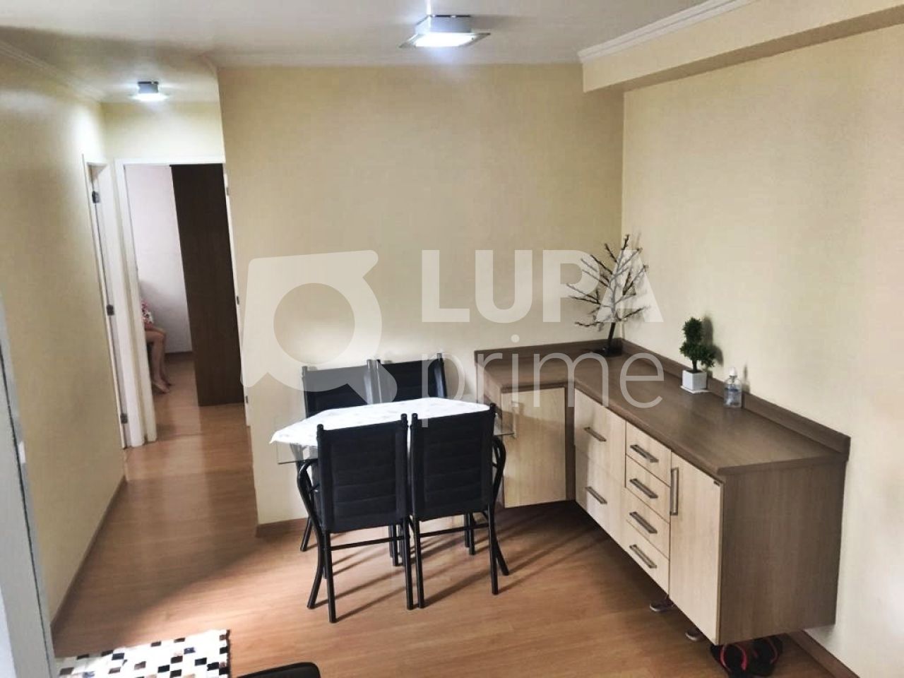 apartamento-venda-sao-paulo-vila-gustavo-2dormitorios-1suite-1vaga-53m2-LM23738