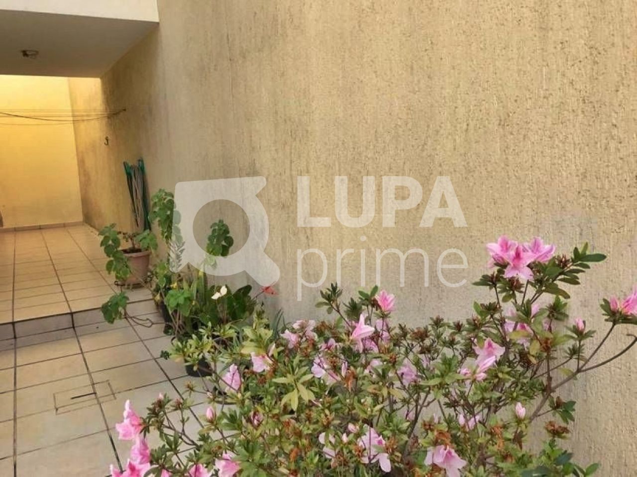 sobrado-venda-sao-paulo-vila-isolina-mazzei-3dormitorios-1suite-1vaga-90m2-LM23753